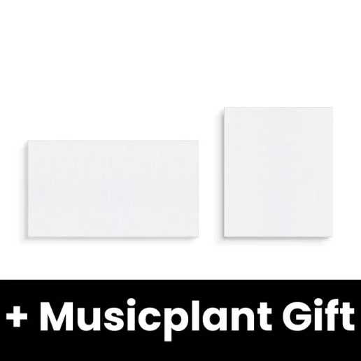 BTS - ARIRANG + Musicplant Gift