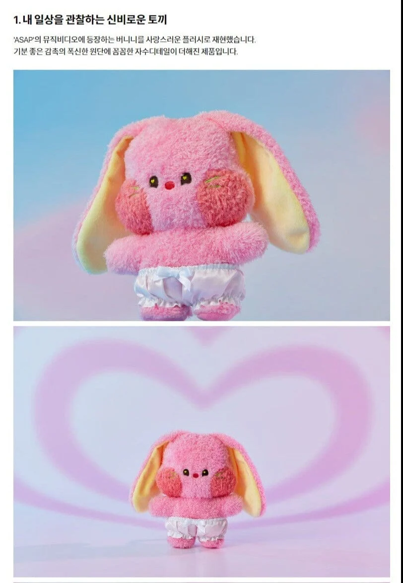 NEWJEANS - BUNINI COSTUME PLUSH - Image 7