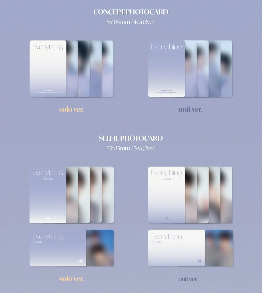 FORESTELLA - EVERYTHING - Image 3