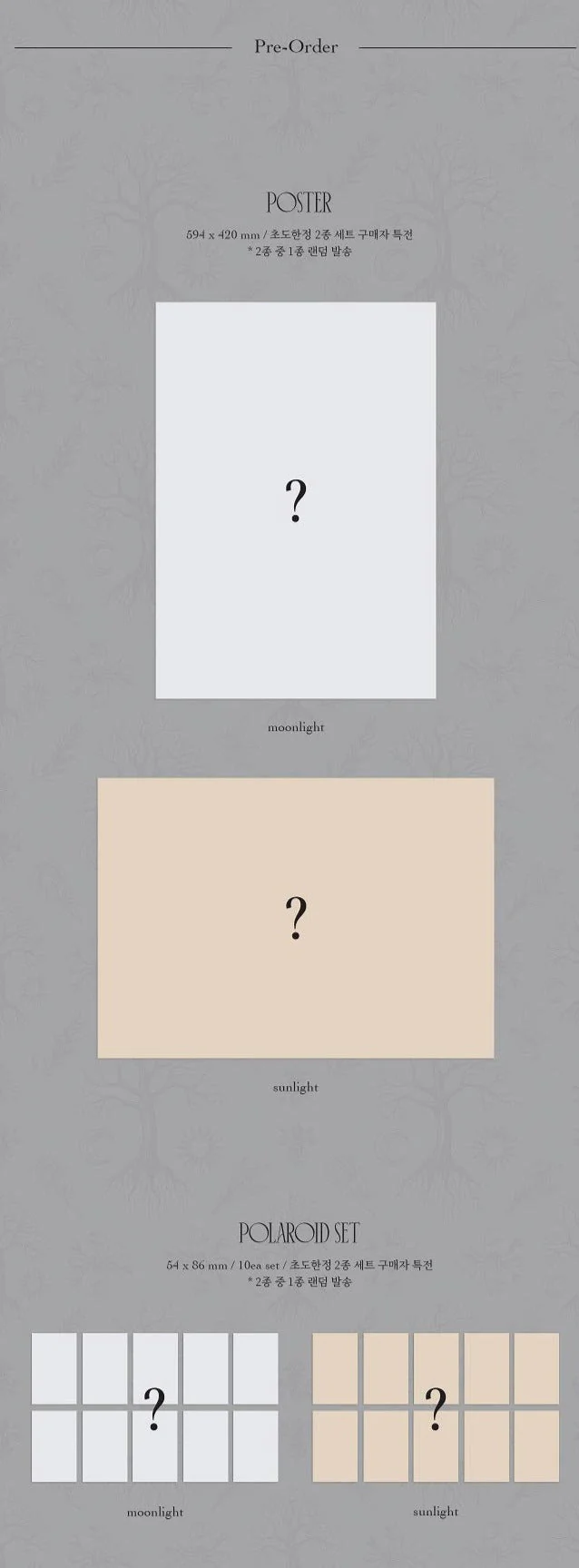 FORESTELLA - THE BEGINNING: WORLD TREE (1ST MINI ALBUM) - Image 4