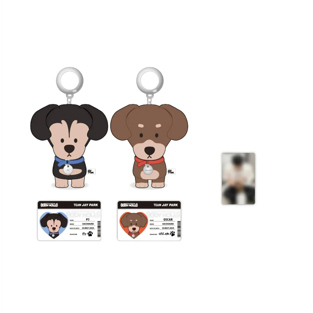 JAY PARK - 10CM DOLL (2025 WORLD TOUR 'SERENADES & BODY ROLLS IN SEOUL' OFFICIAL MD) - Image 5