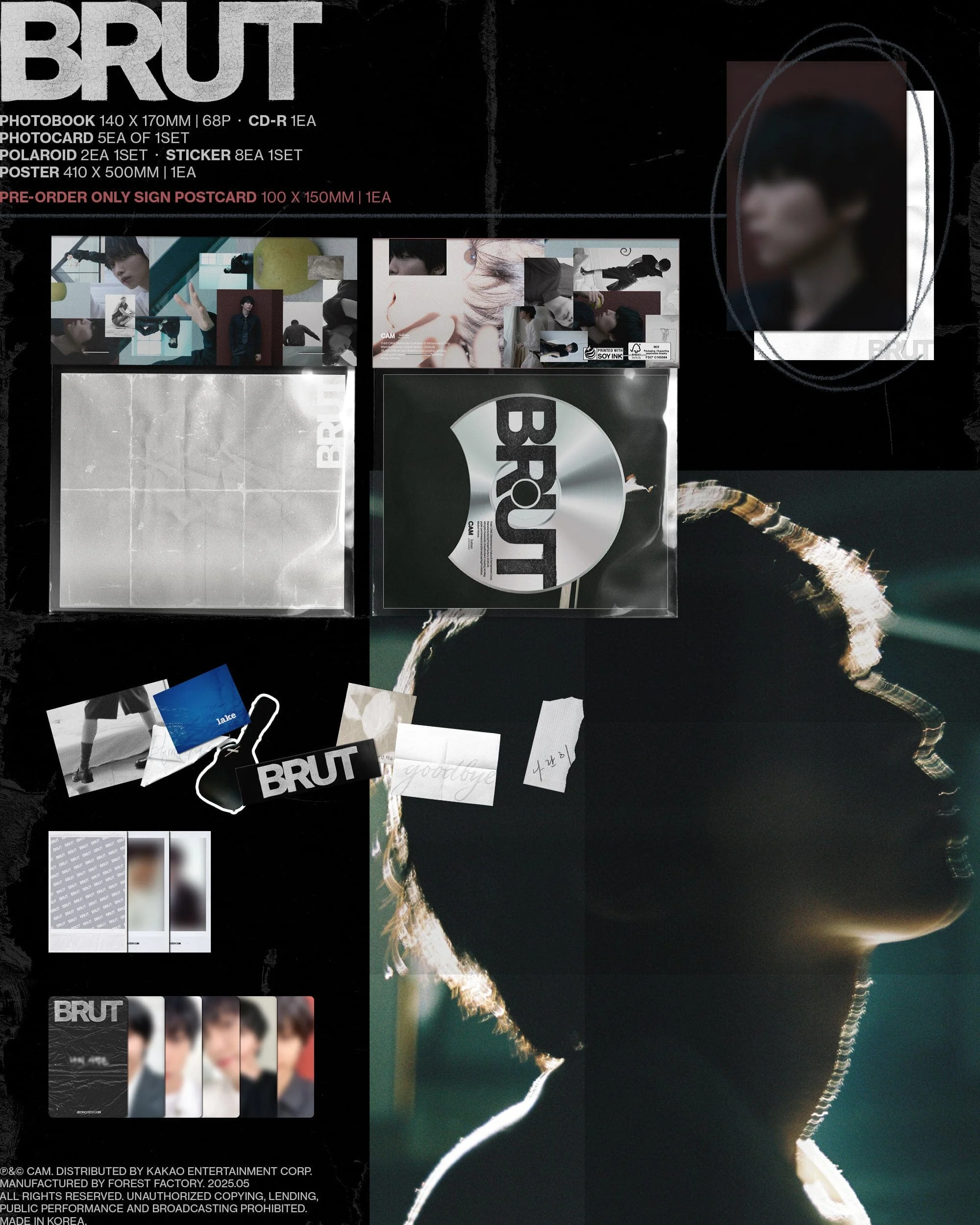 JEONG SE WOON - BRUT - Image 2