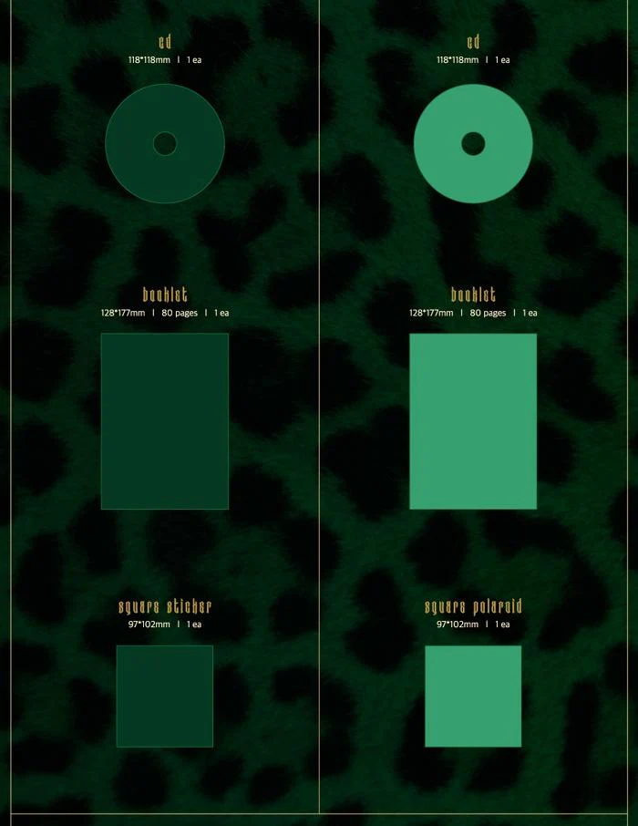 Mamamoo -10th Mini [TRAVEL] DEEP GREEN / LIGHT Green VER. - Image 3