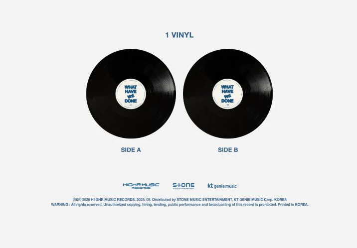 PH-1 - WHAT HAVE WE DONE (LP) - Image 3