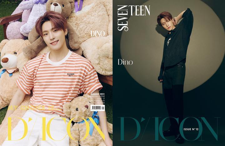 SEVENTEEN - DICON "My Choice Is..." Korean Ver. - Image 16