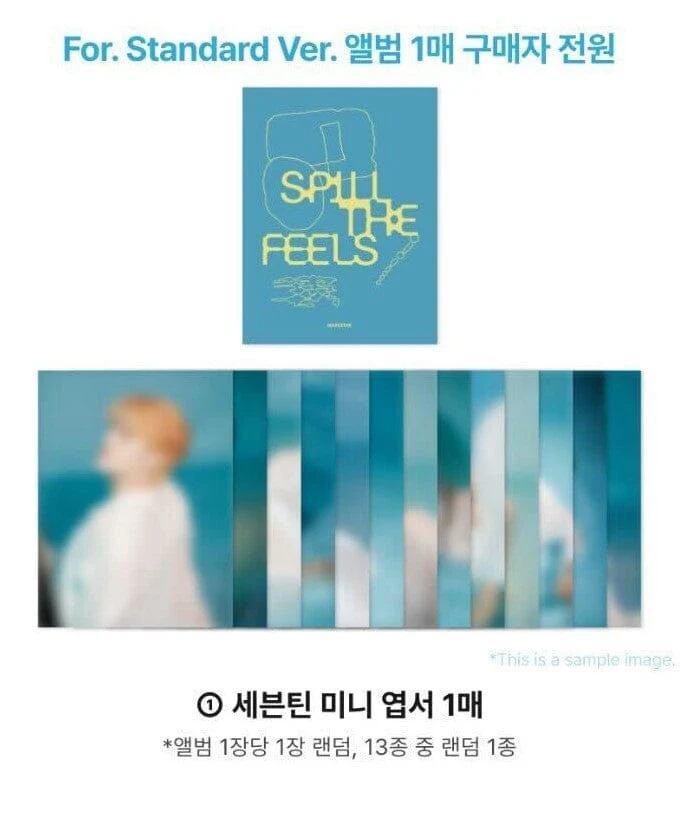 SEVENTEEN - SPILL THE FEELS + Makestar Gift - Image 2