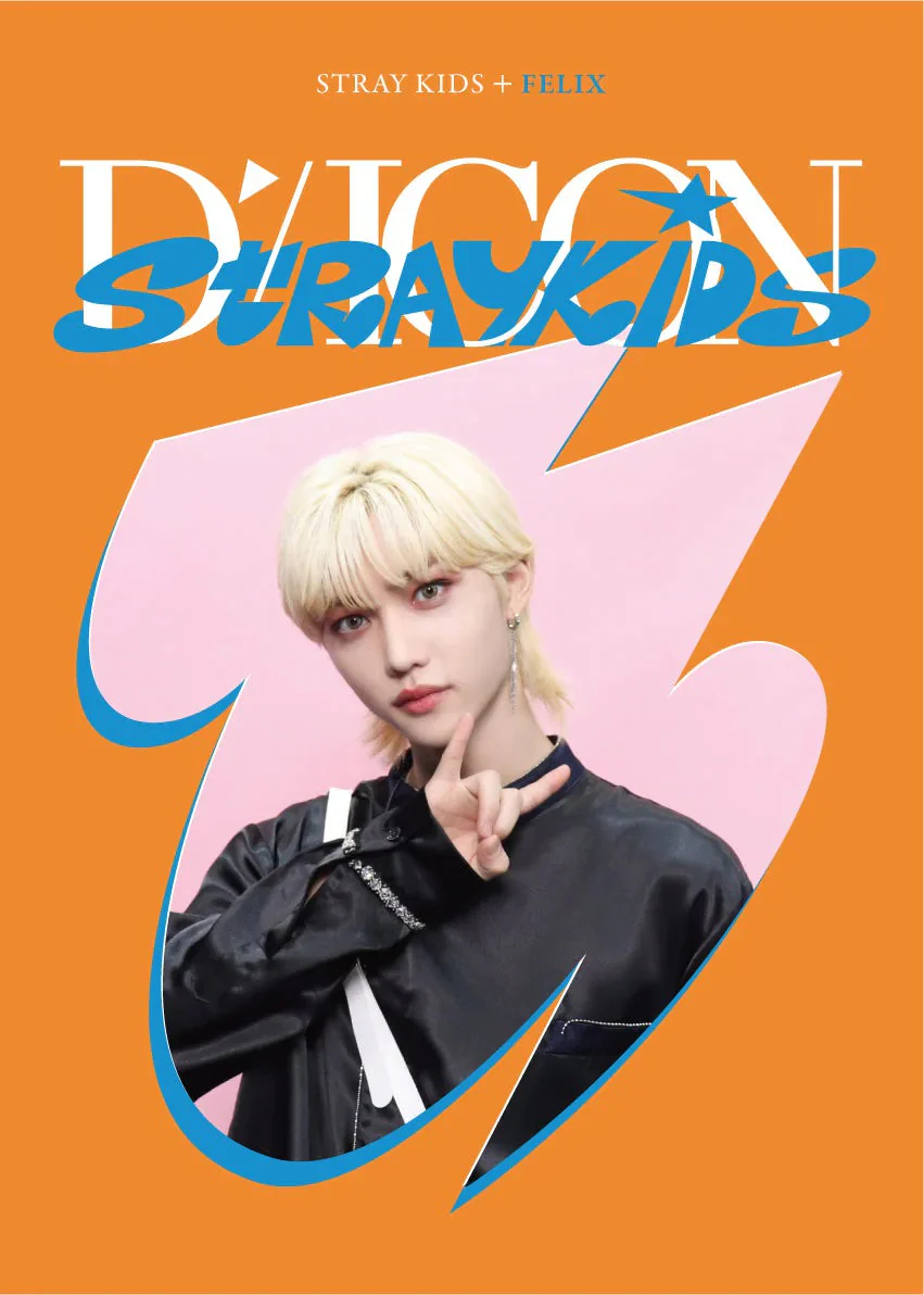 Stray Kids - DICON DFESTA MINI EDITION - Image 8