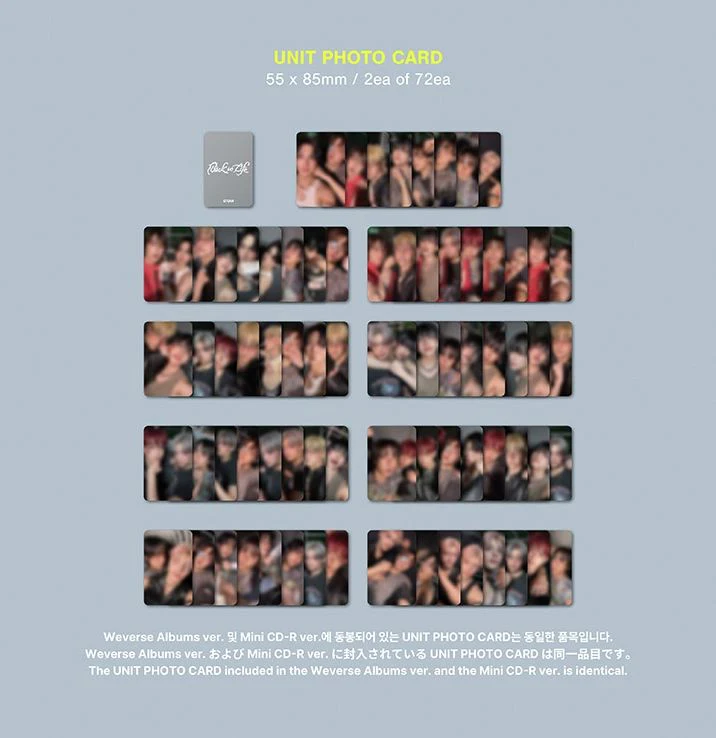 &TEAM - BACK TO LIFE (1ST KOREAN MINI ALBUM) (PHOTOCARD BOX) (WEVERSE ALBUMS VER.) - Image 3