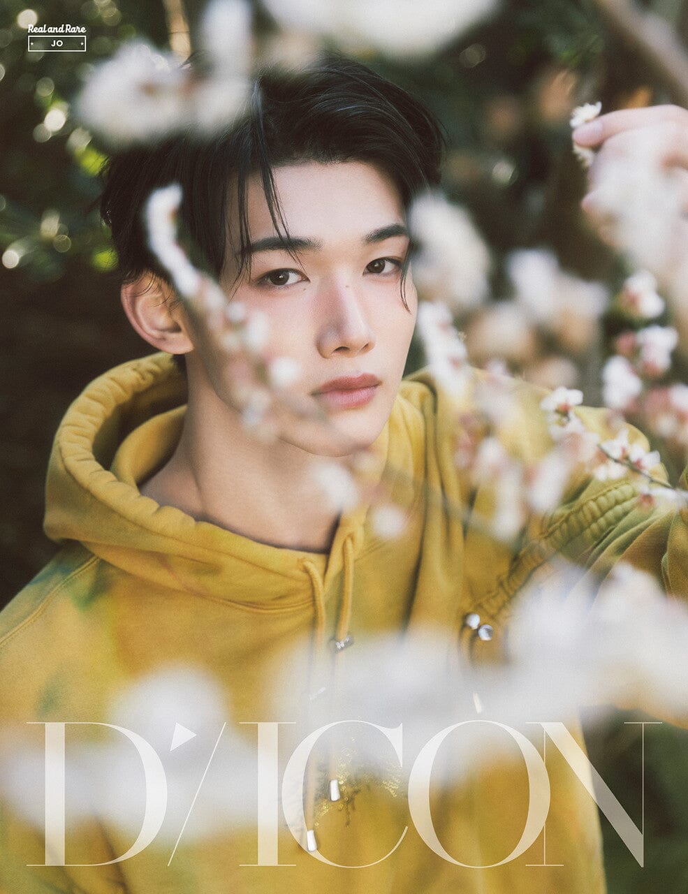 &TEAM - DICON VOLUME N°28 - Image 16