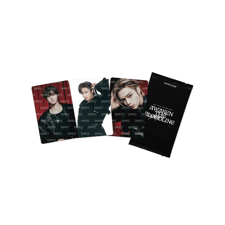 &TEAM - PHOTO CARD (2025 CONCERT TOUR 'AWAKEN THE BLOODLINE' OFFICIAL MD)