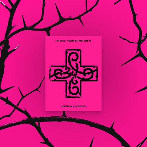 TXT - 7TH YEAR: WHEN THE WIND PAUSED AMONG THE THORNS (PPULBATU VER.)