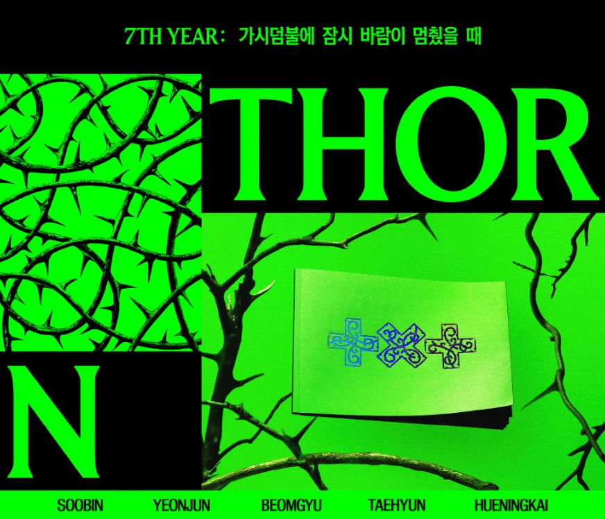 TXT - 7TH YEAR: WHEN THE WIND PAUSED AMONG THE THORNS (THORN VER.) + Apple Music Gift - Image 2