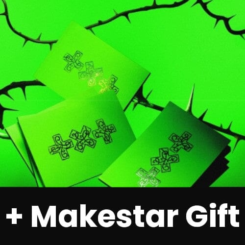 TXT - 7TH YEAR: WHEN THE WIND PAUSED AMONG THE THORNS (THORN VER.) + Makestar Gift