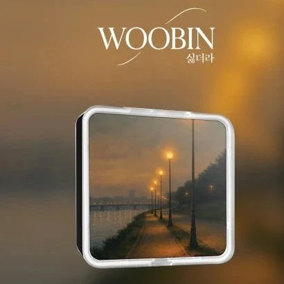WOOBIN - I DIDN'T LIKE IT (KIT ALBUM)
