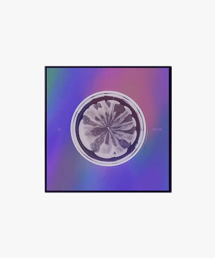 XG - NEW DNA (1ST MINI ALBUM) - Image 2