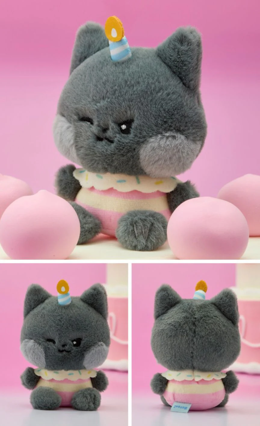 ZB1 - ZERONI MINI PLUSH HOME PARTY - Image 20